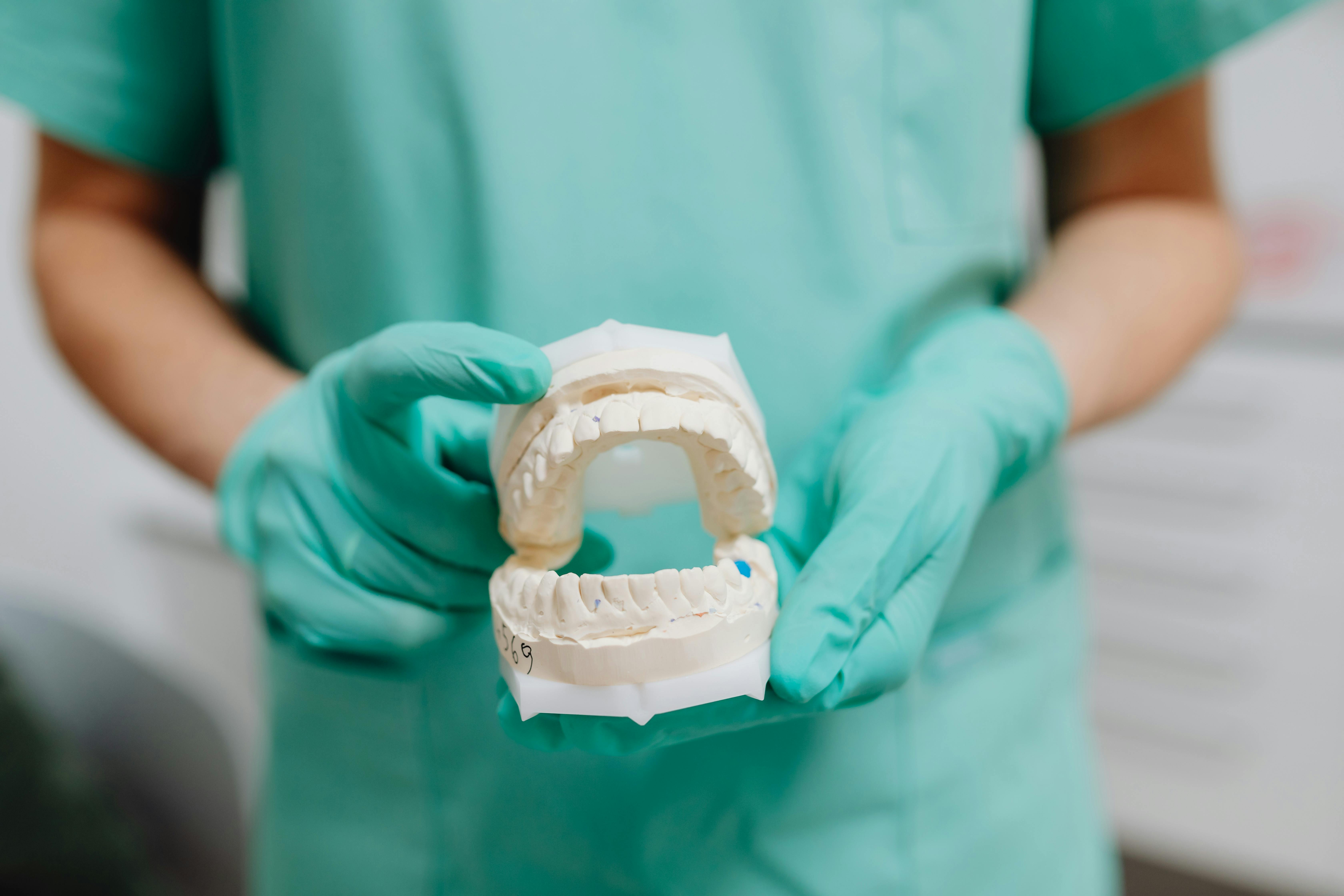 dentist holding model of teeth