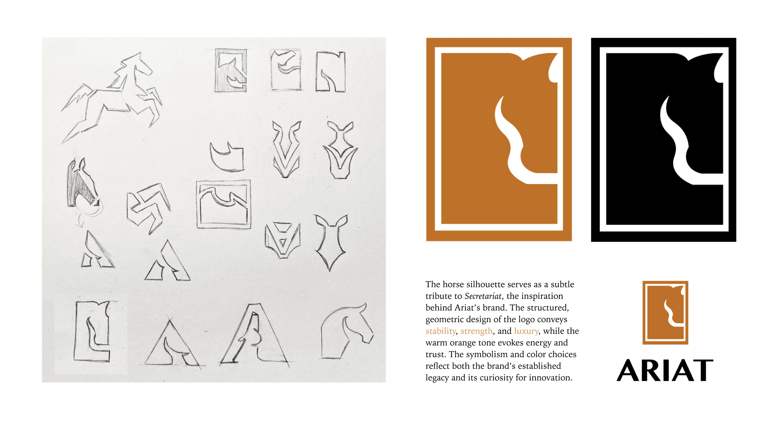 Ariat Rebranding (Sponsor Project) 2