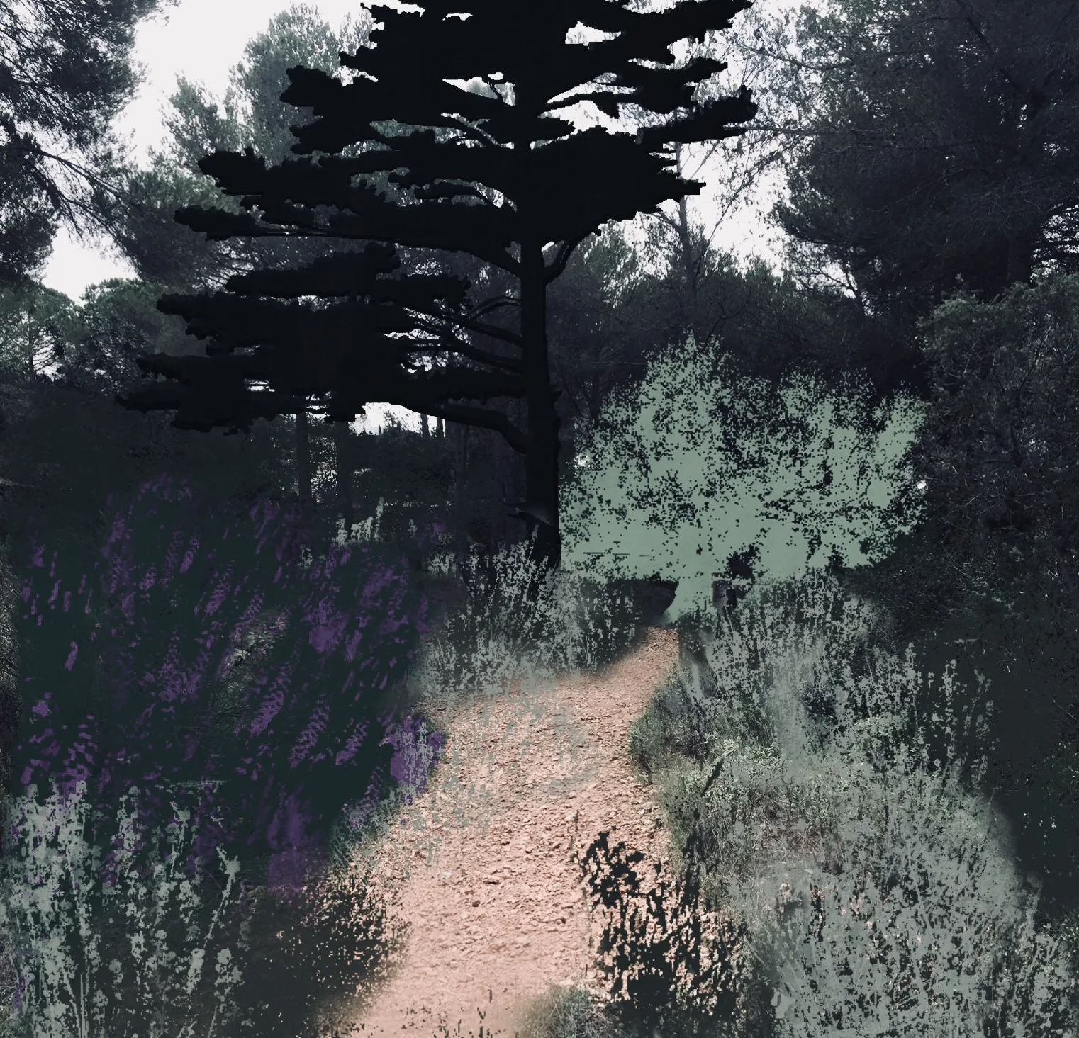 dibujo bosque can bruggeman