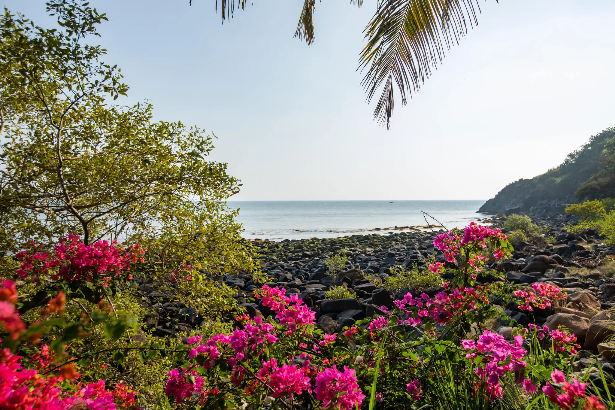 Sea View Hut 7 at Casa Jaali — flowering shoreline below the hut
