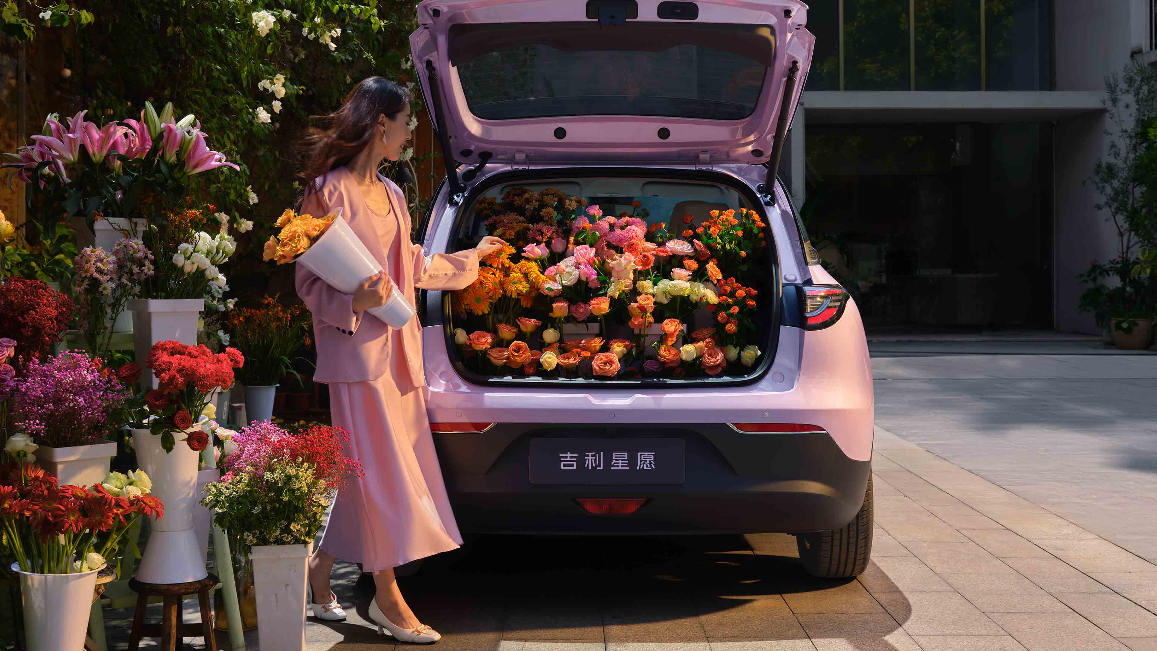Geely Galaxy Star Wish