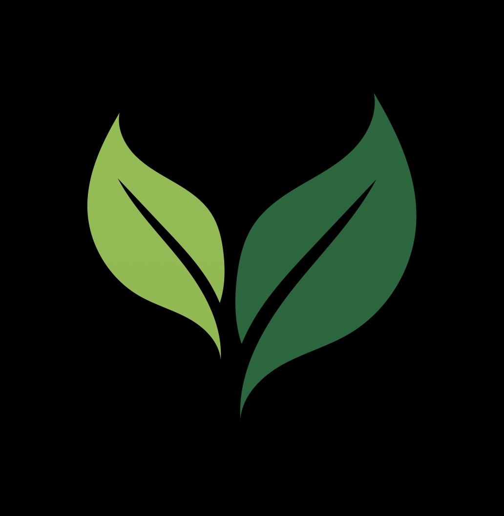 Doodle Company Logo