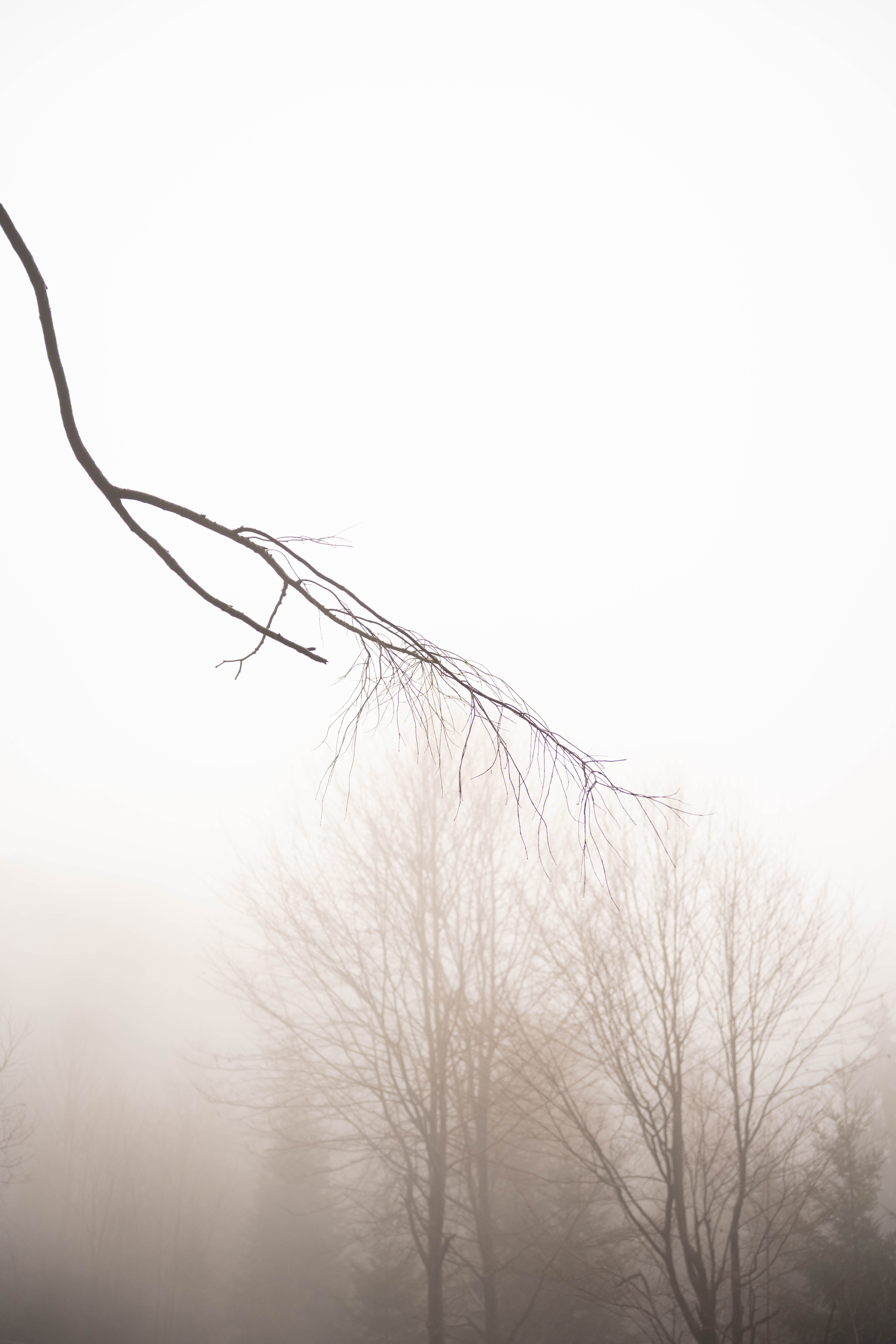 Extreme close-up black and white photograph of a human eye