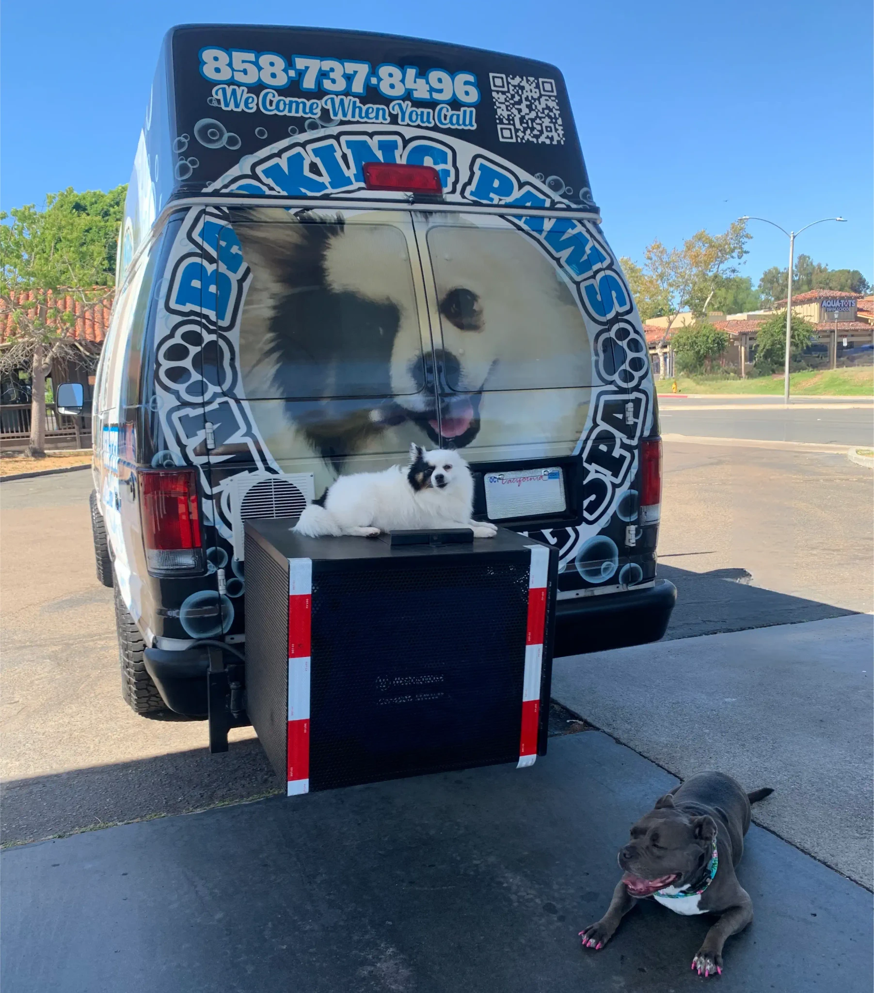 two dogs at mobile grooming spa