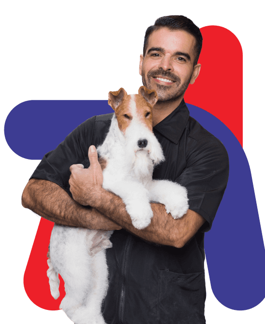 Nayandis Exposito holding a wire-haired terrier to showcase skill, trust, and precision in expert hand-stripping grooming.