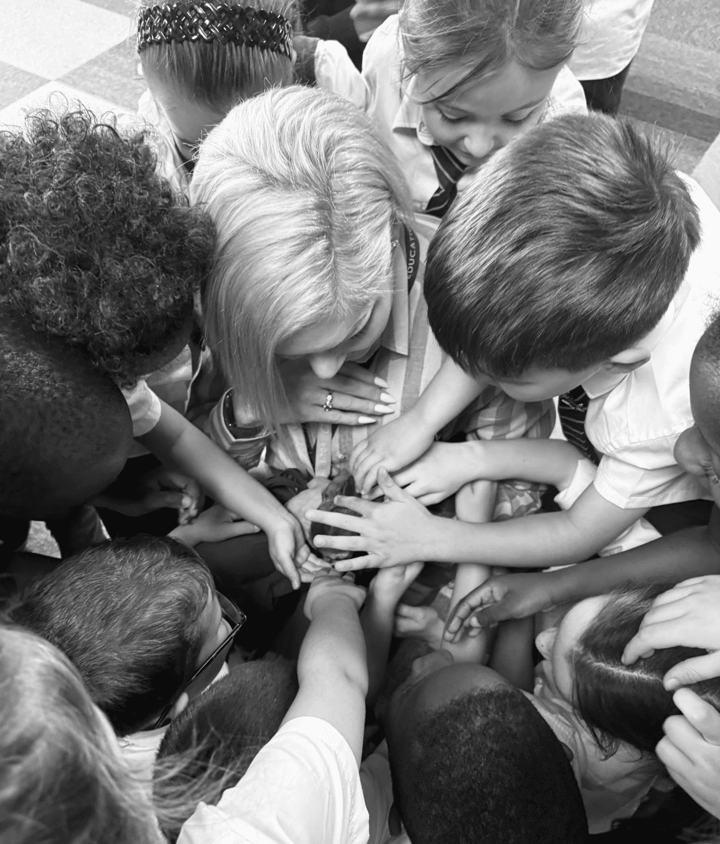 Children stroking tiny chihuahua