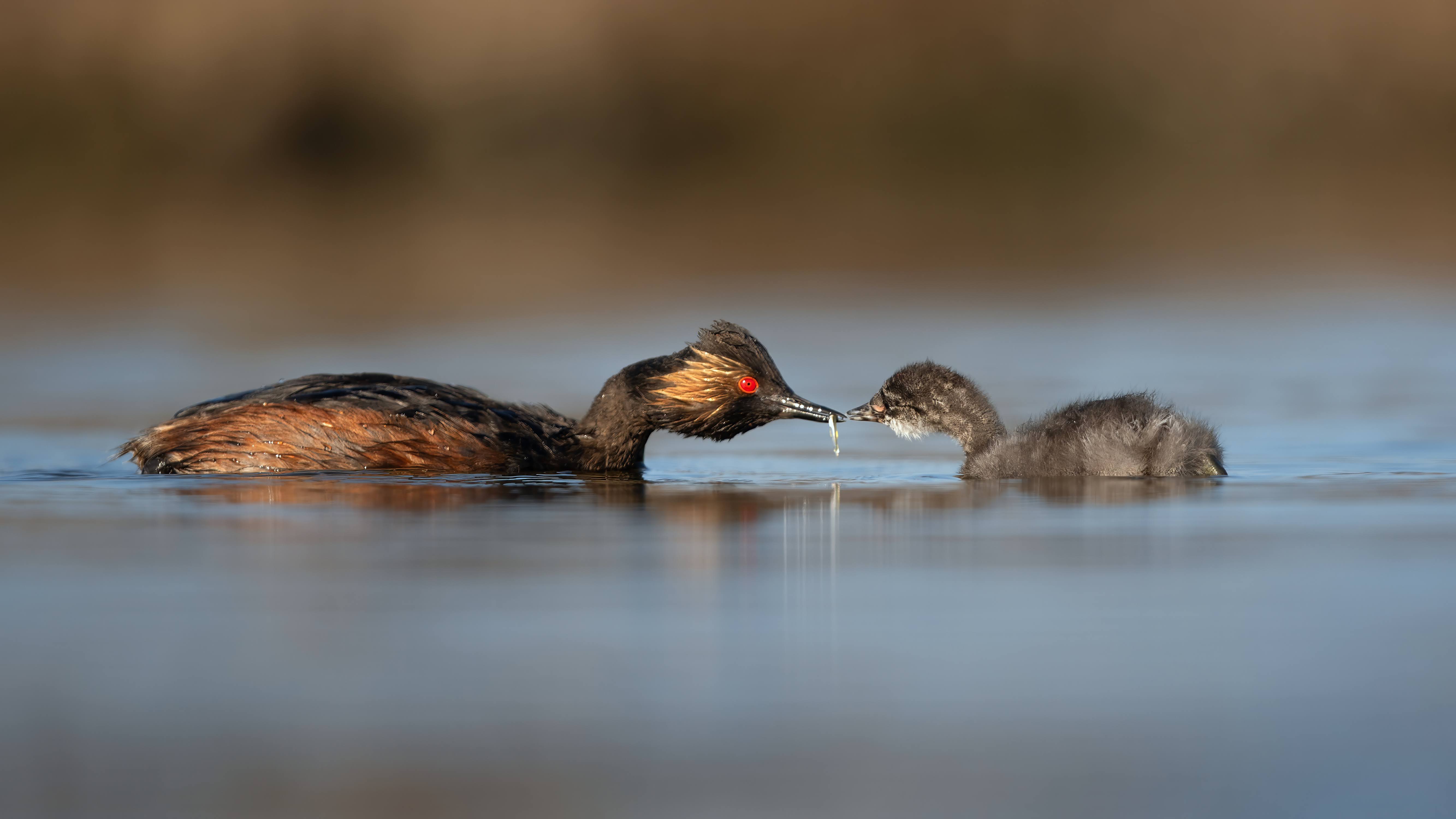Photo of Irene in a neon scene