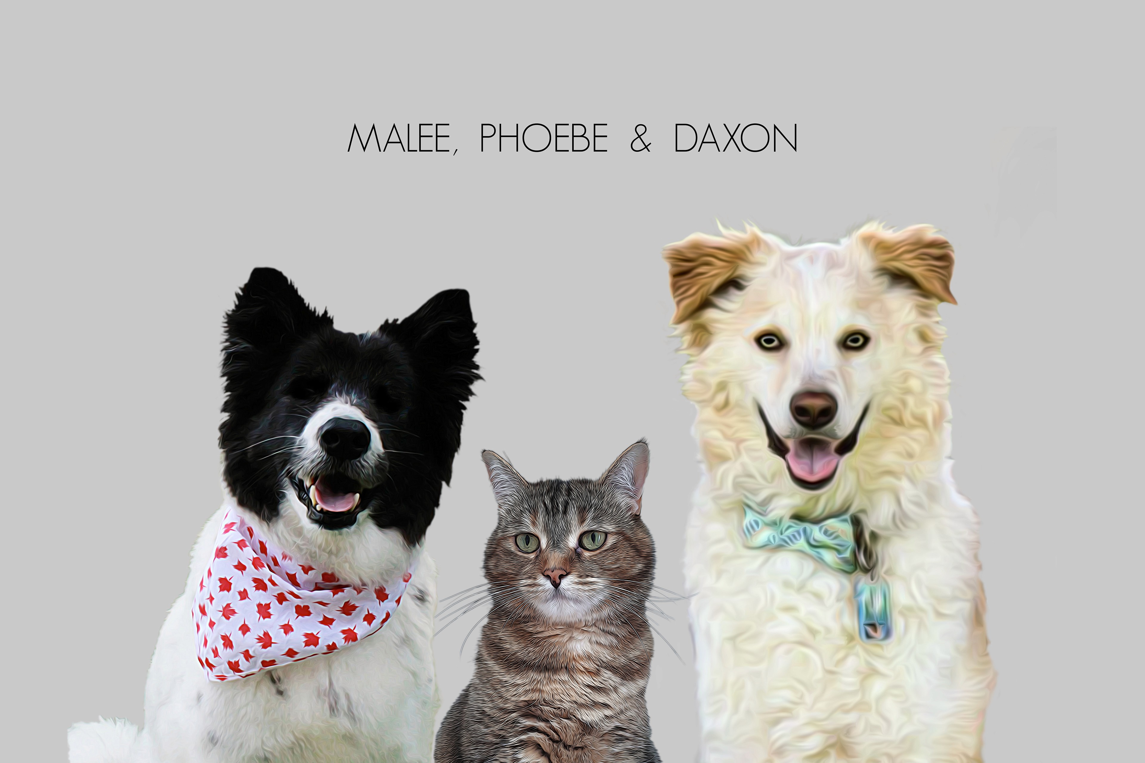 Digital painting of Pets