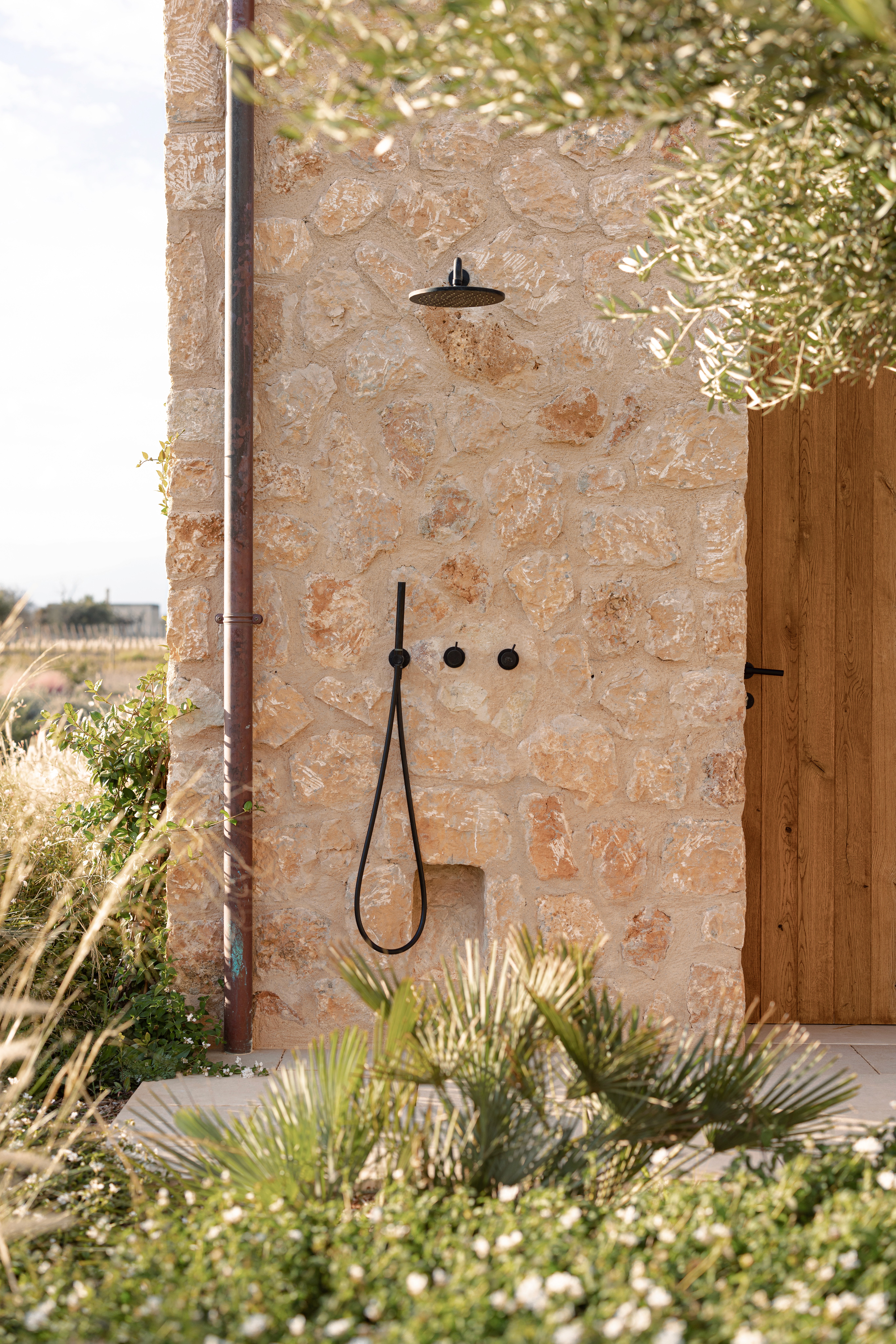 Here comes the alt text