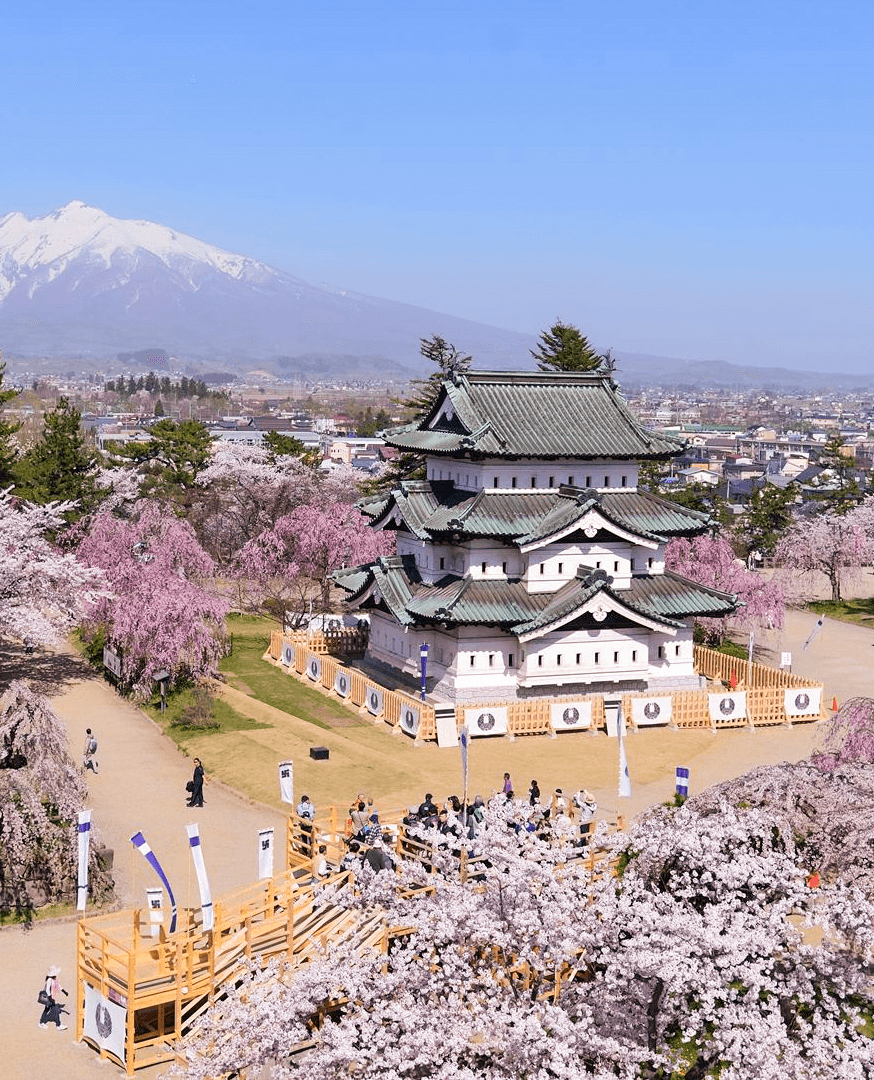 Hirosaki Castle during sakura season