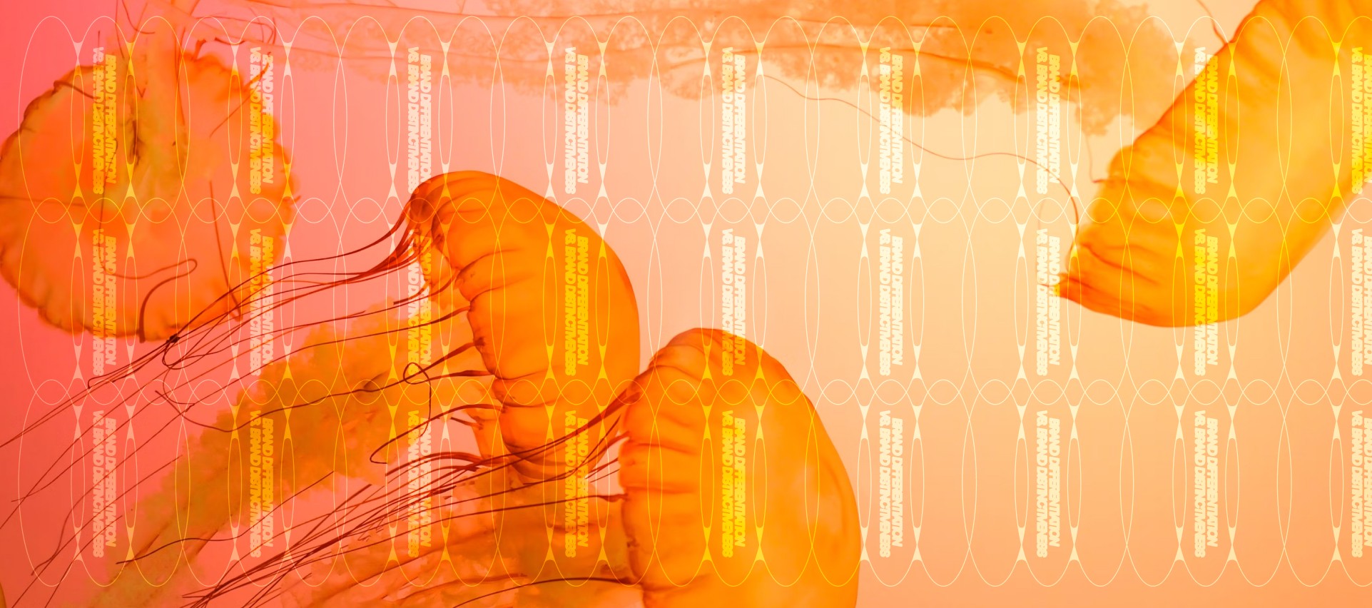 Why AI Can’t Fix a Broken Brand Strategy