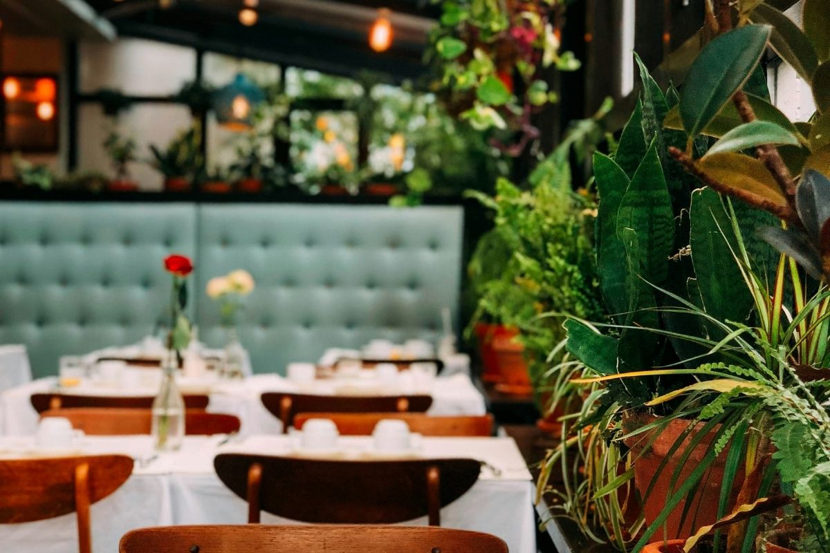 Trendy restaurant with great lighting, trendy colors and plants