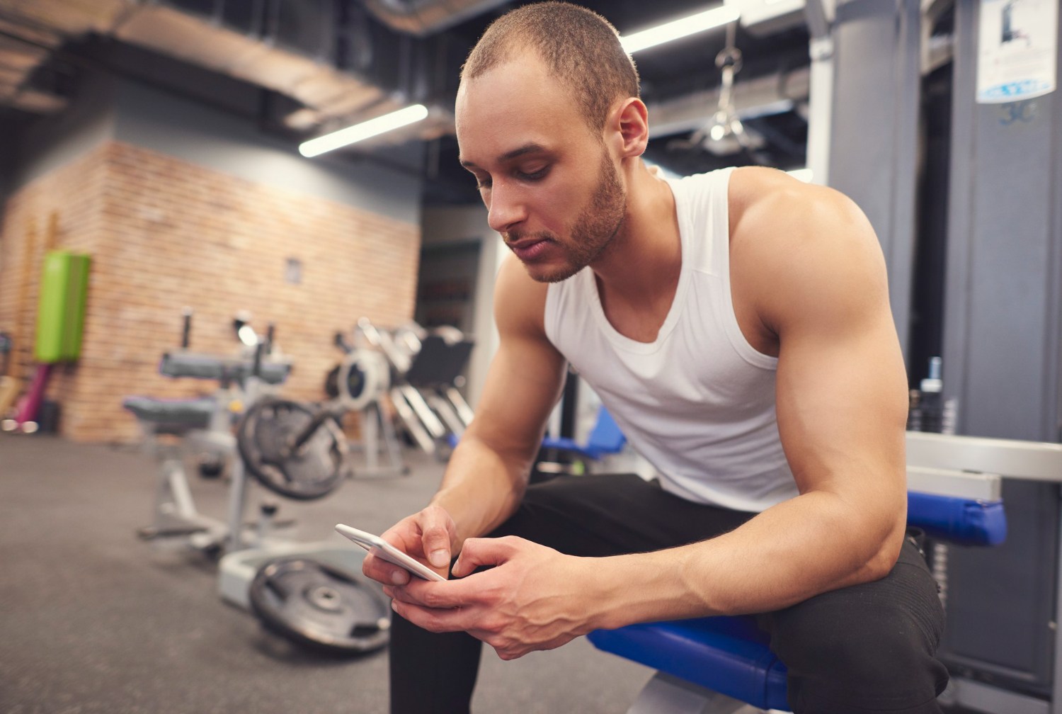 trener online plan treningowy w aplikacji treningowej