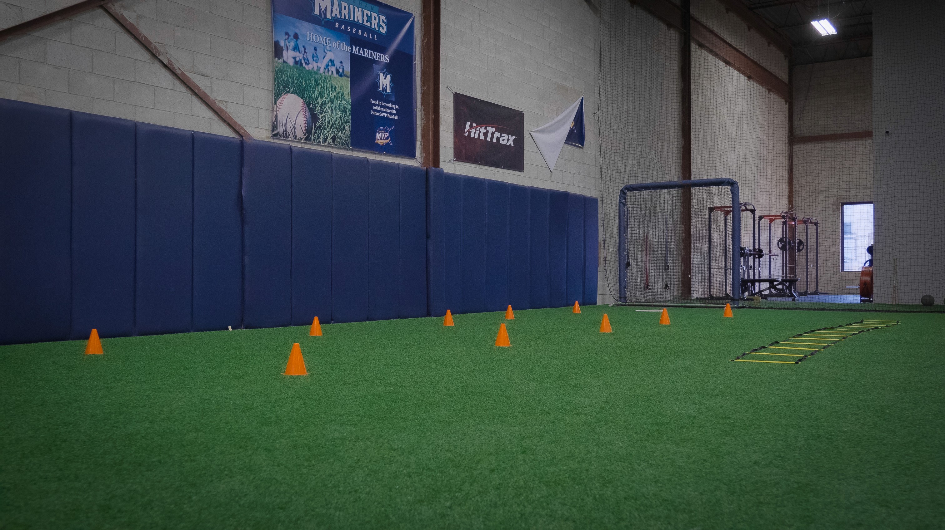 a dropping bottle with bird of paradise flower
