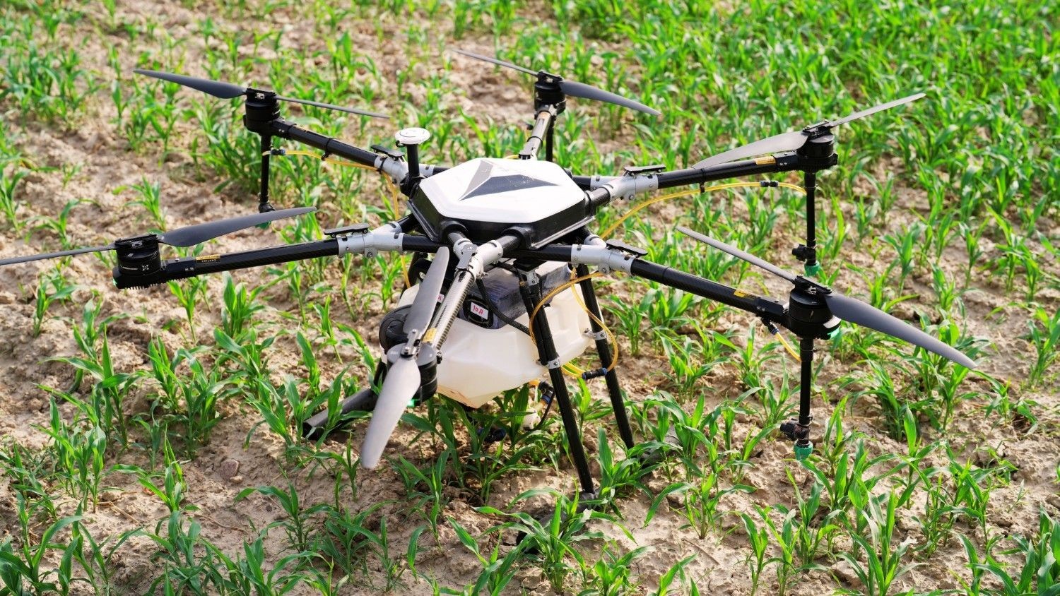 Challenges and Considerations While Using Autonomous Drones