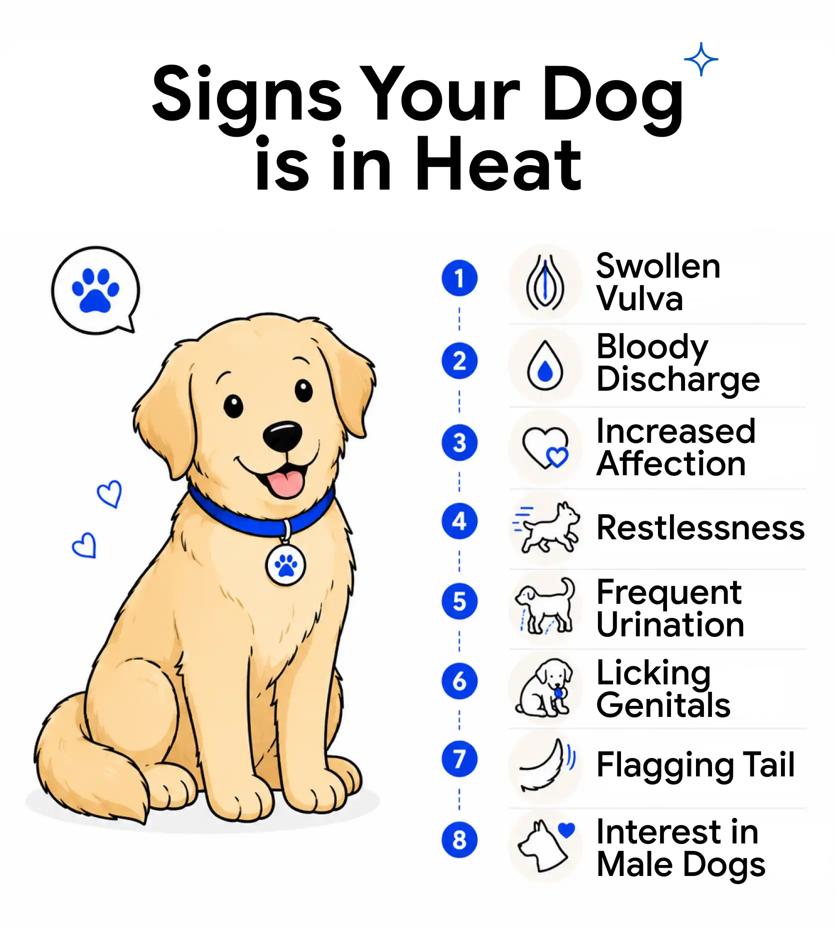 Signs Your Dog is in Heat