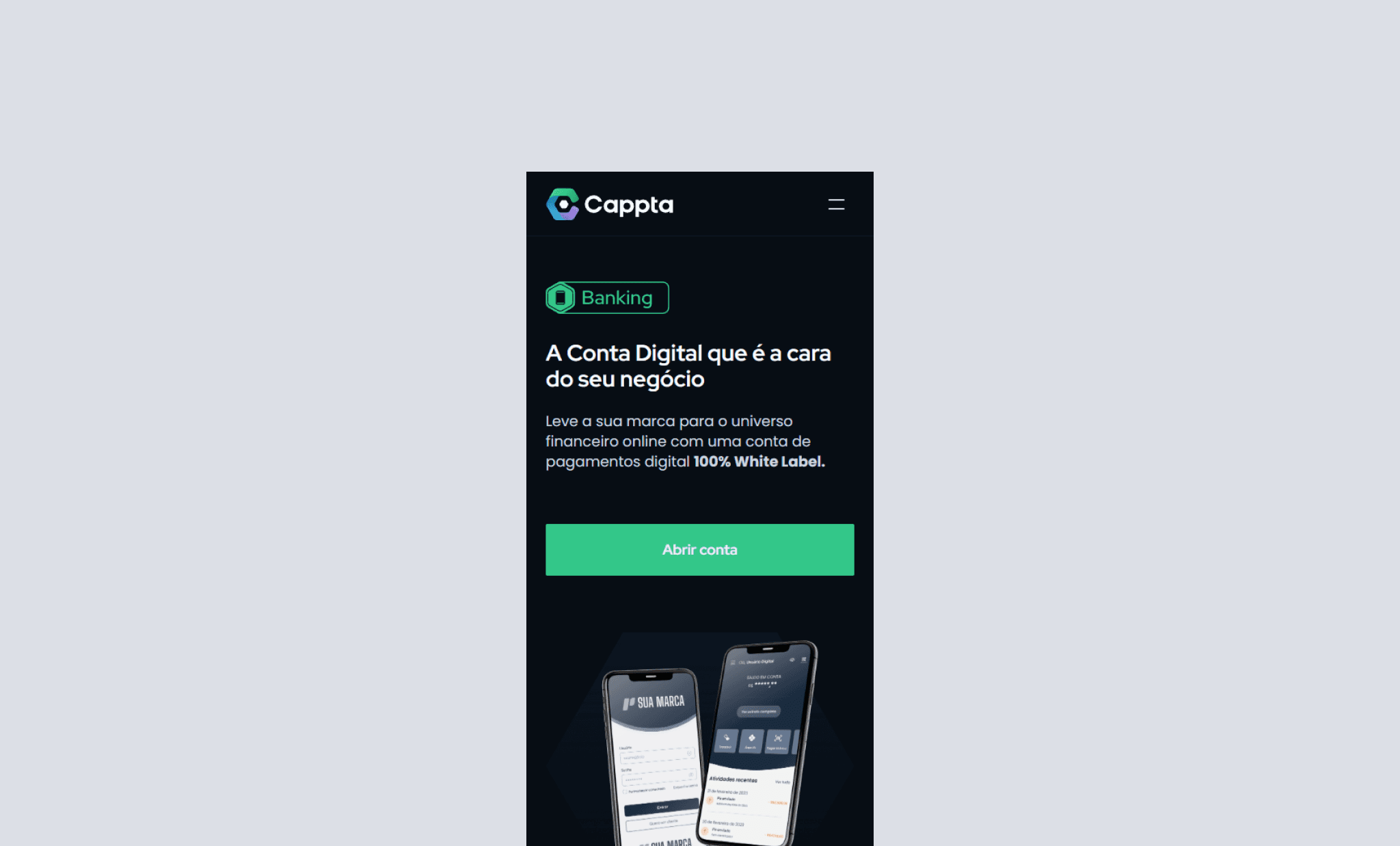 Large Project Gallery Image #4