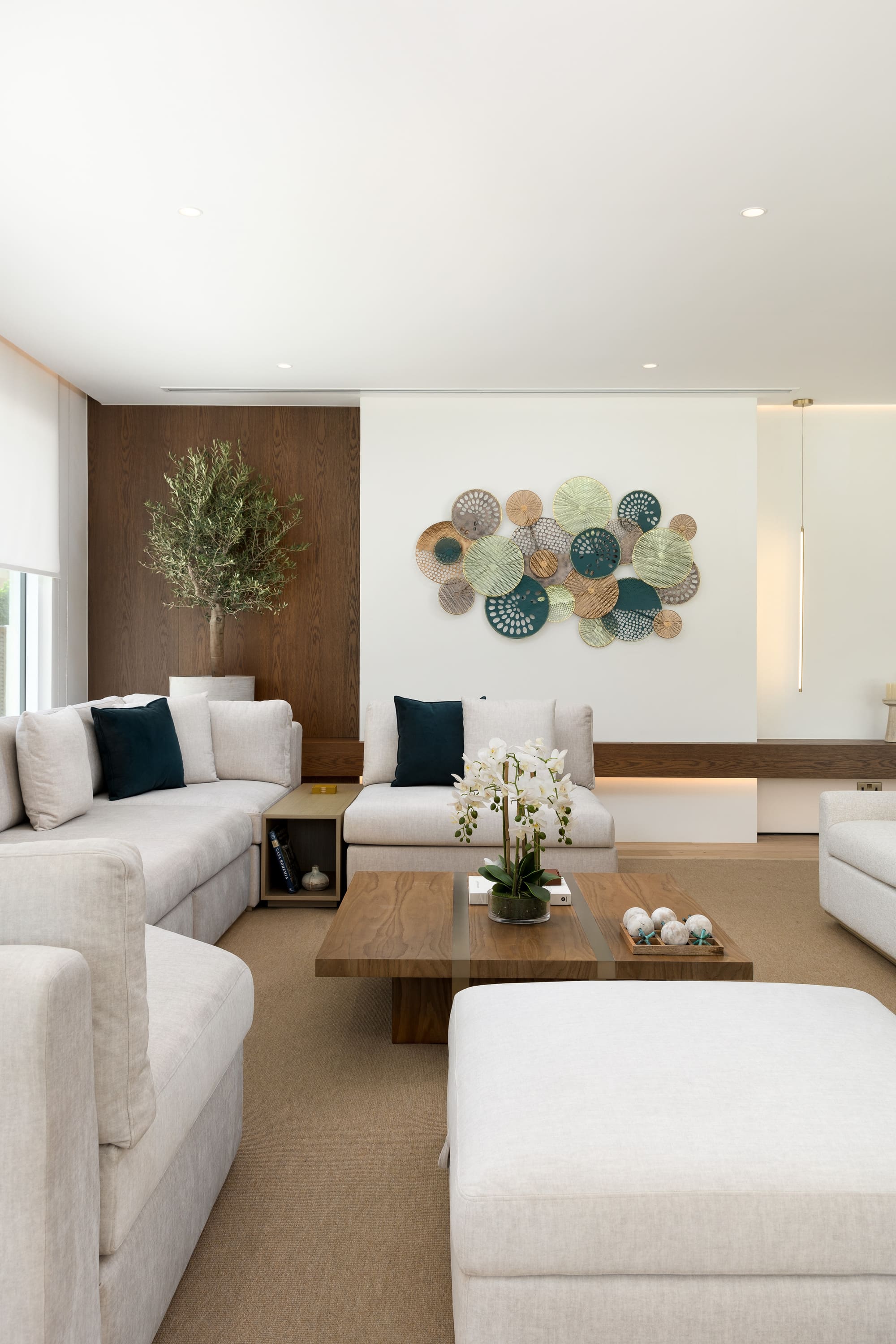 Dom Pérignon vineyards from the sky