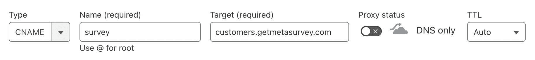 CNAME record in DNS settings