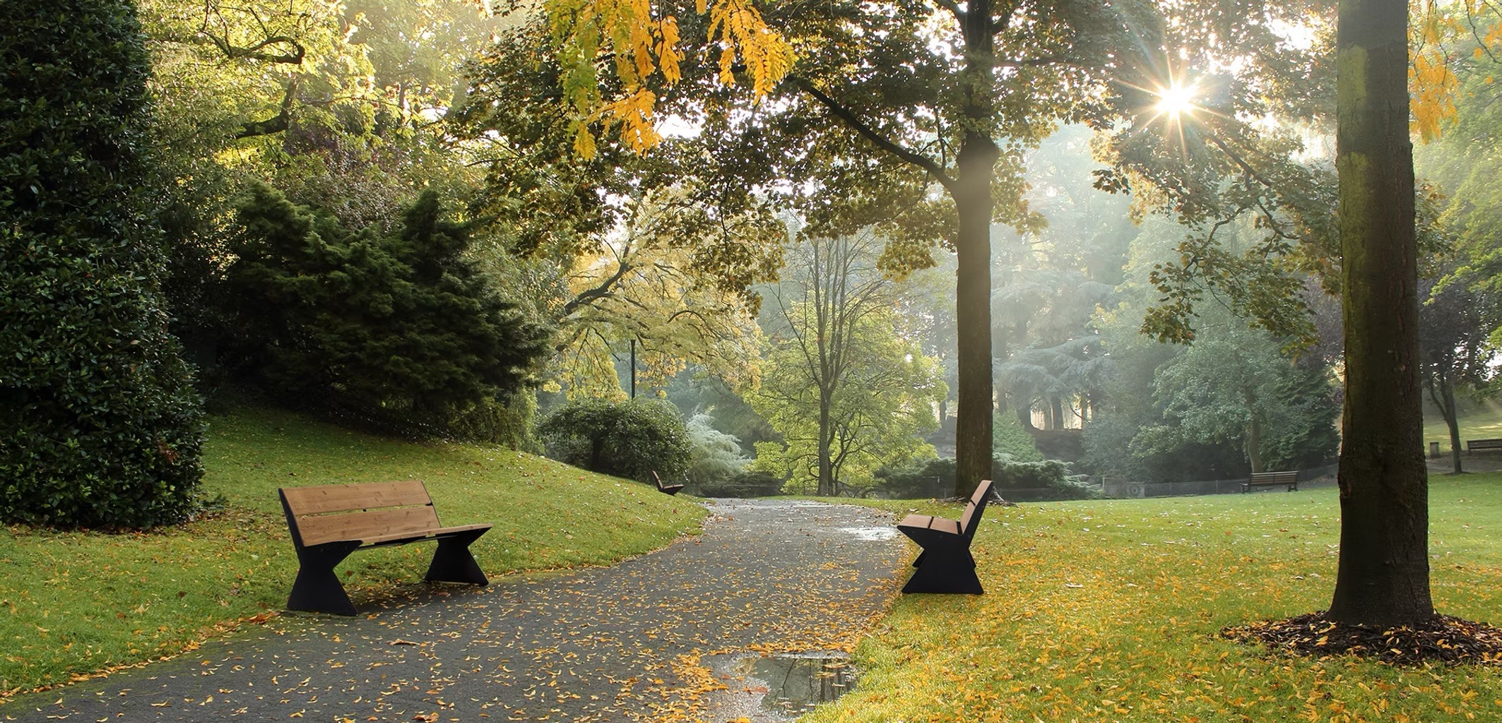 Dynoform benk i en park