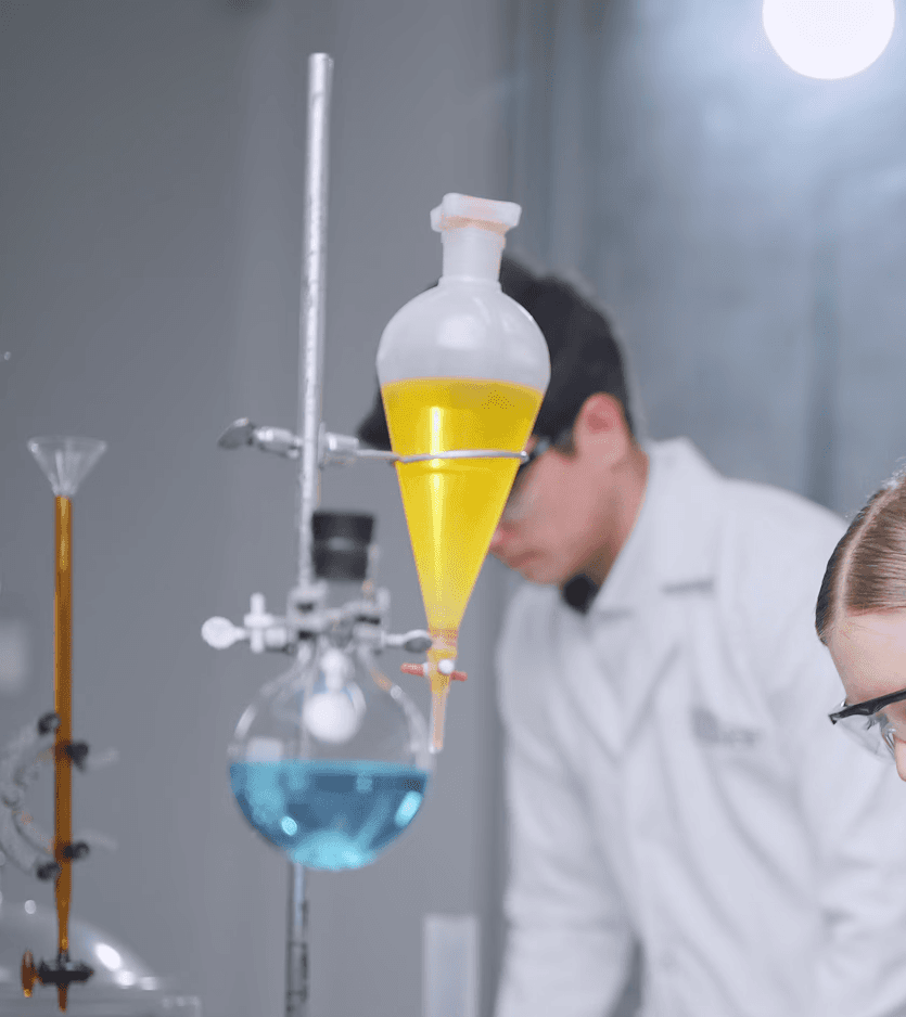 person holding orange flower petals