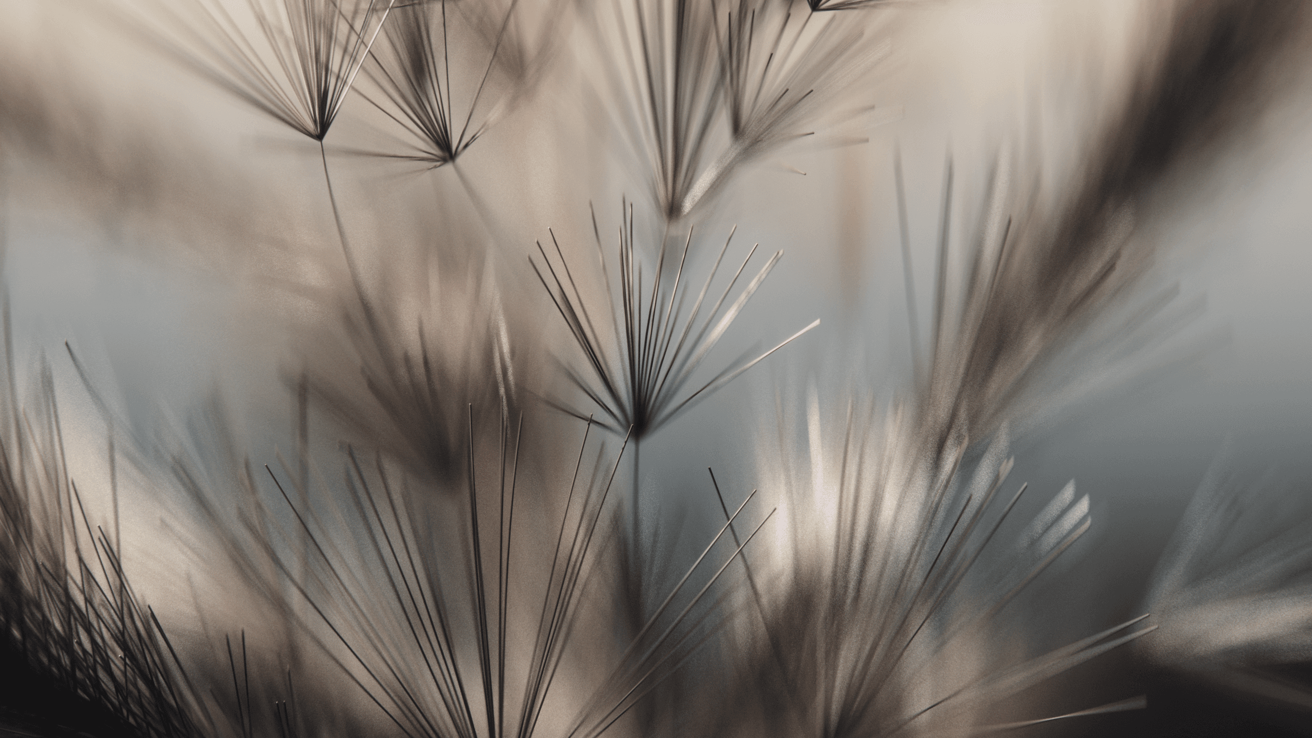 Project cover image