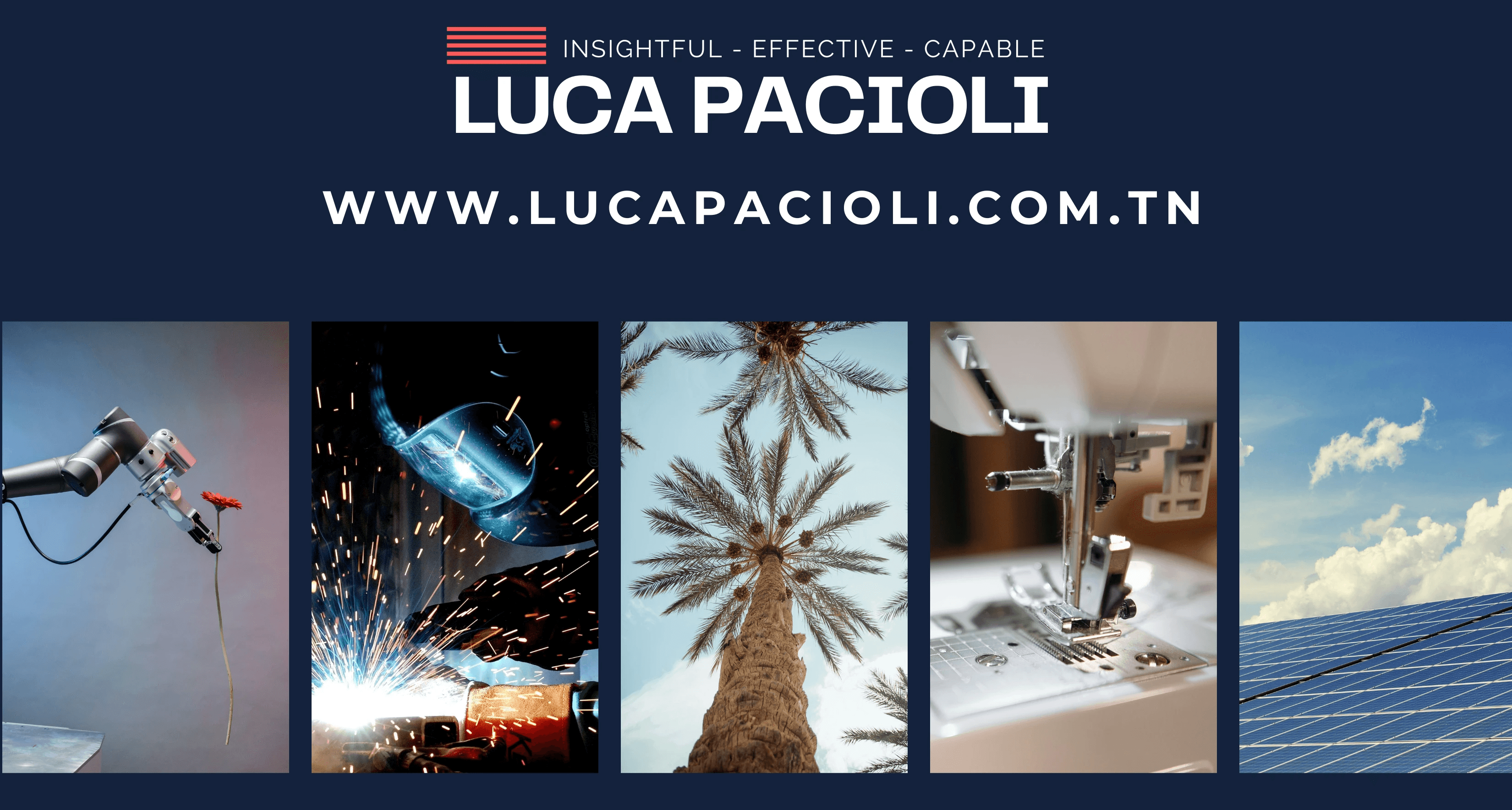 Contact Luca Pacioli Tunisia for wealth tax 2026