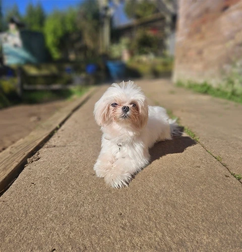 Baby Image