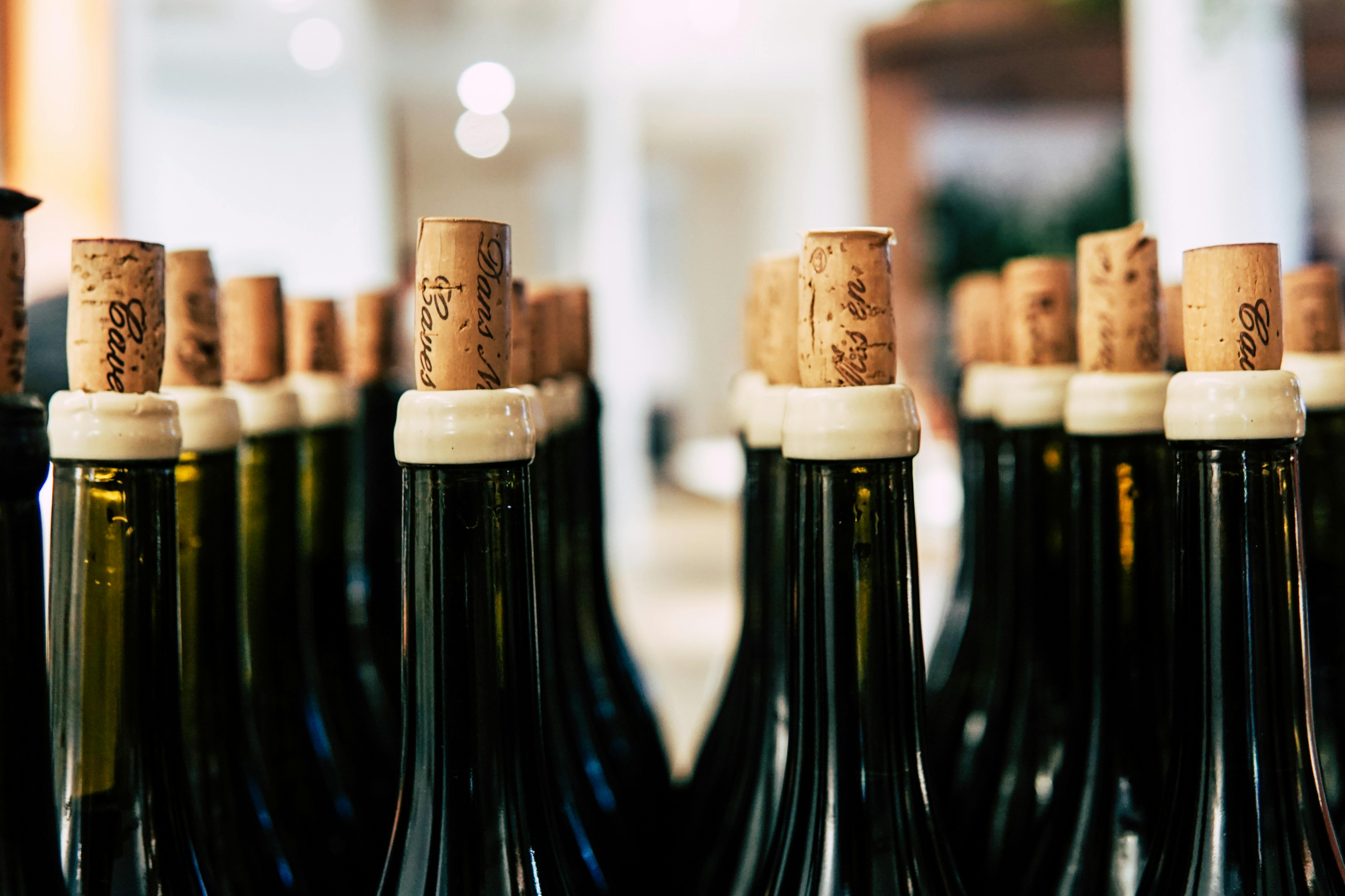 Bordeaux in 2025, Promising Harvest