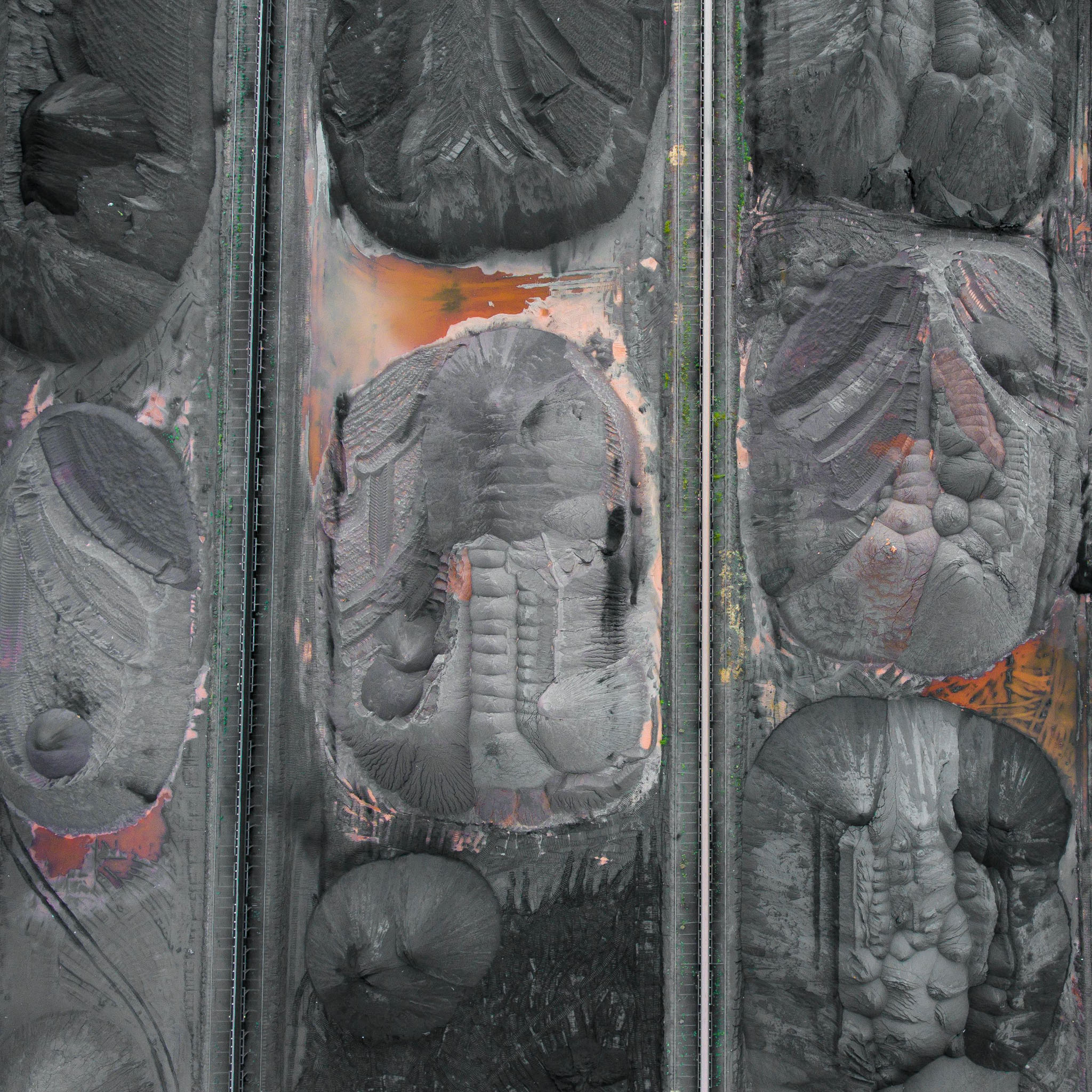 Silhouette of a researcher examining a slide under a microscope with a blue background.