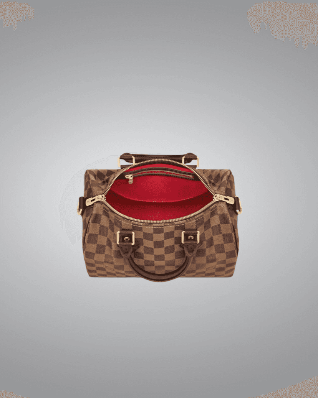 LV Speedy 25 Handbag