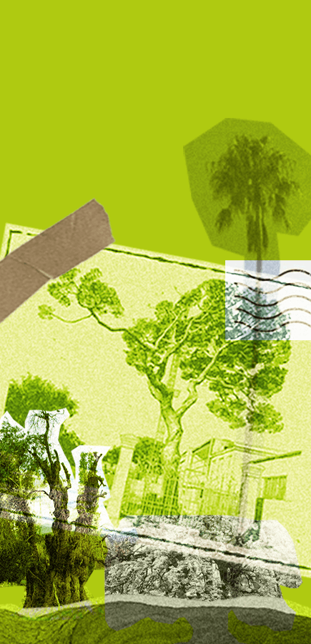 Imagen estilo collage con fotografía sepia de árbol y casa, sobre fondo naranja con gráficos superpuestos.