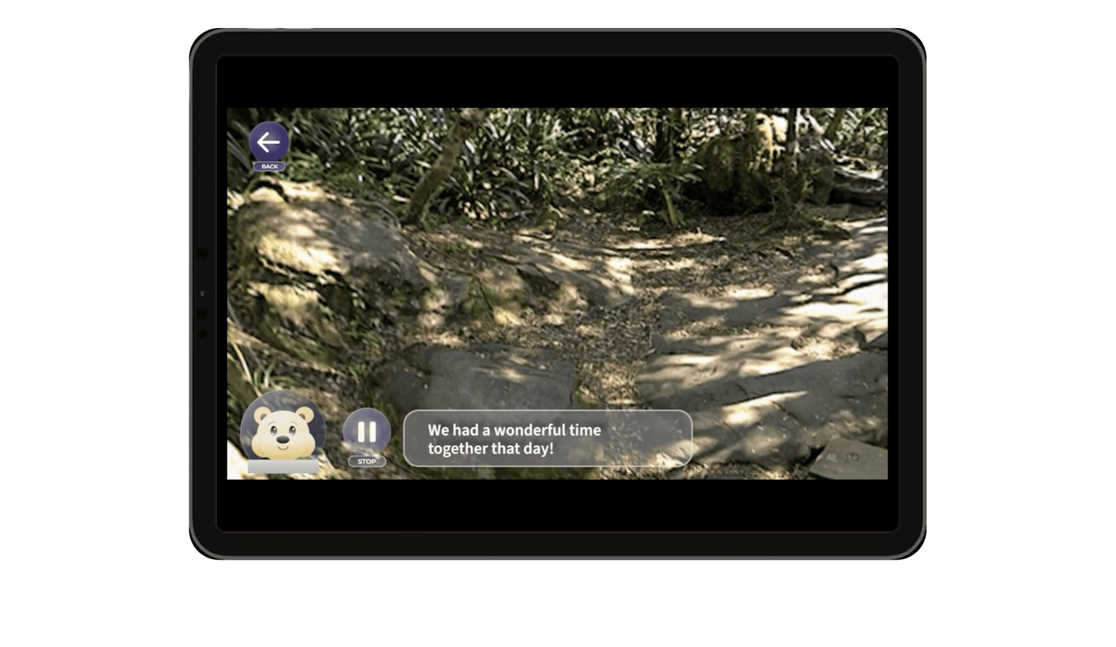 Narration and Captions