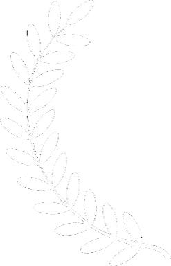 Laurel branch outline.