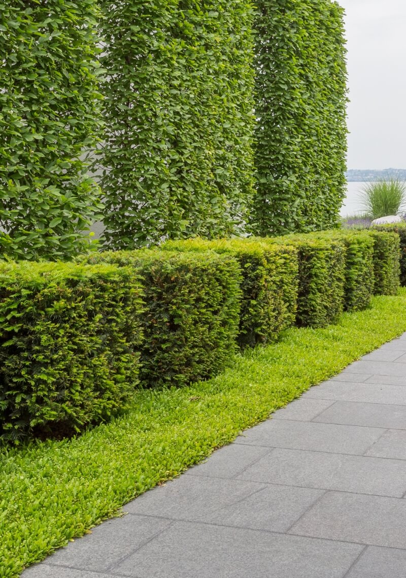 Seasonal planting