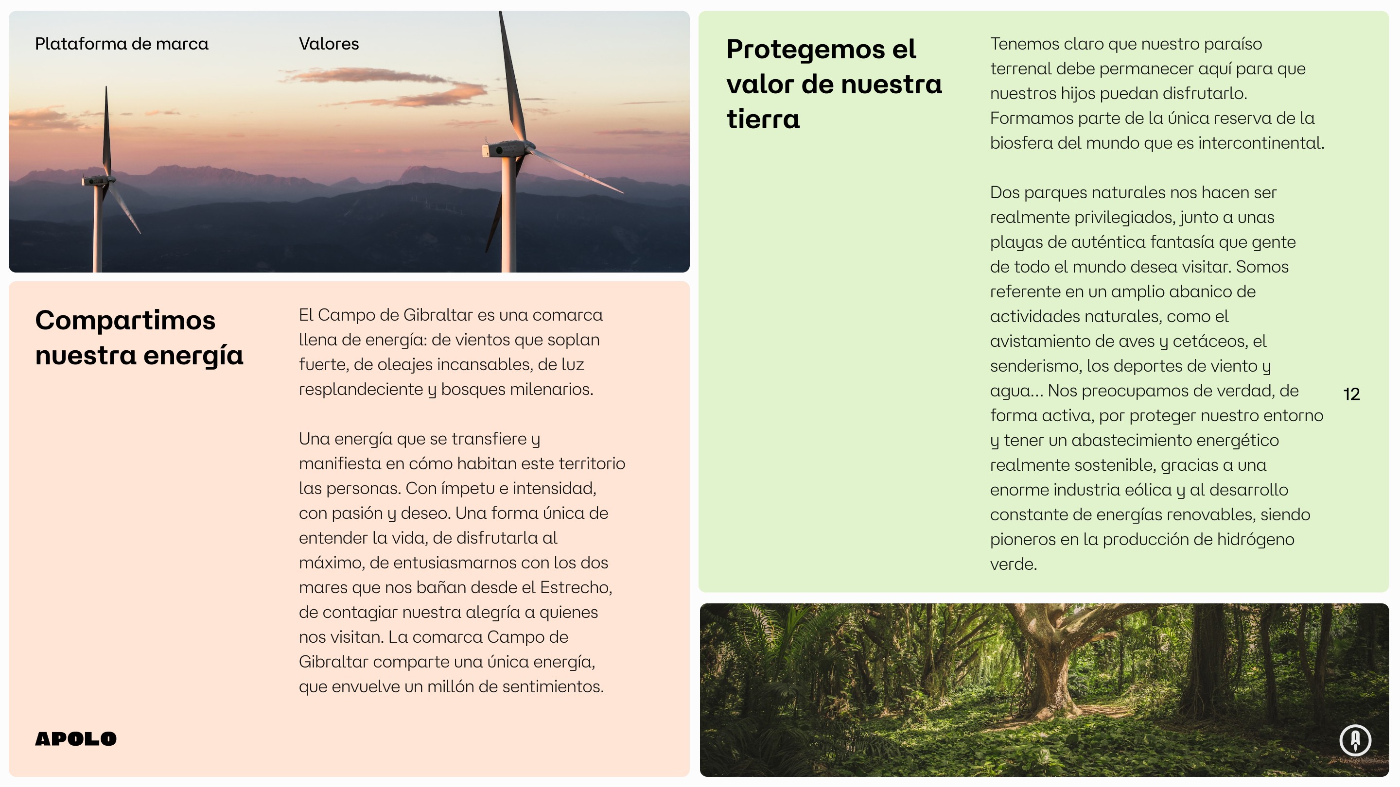 World componet Framer