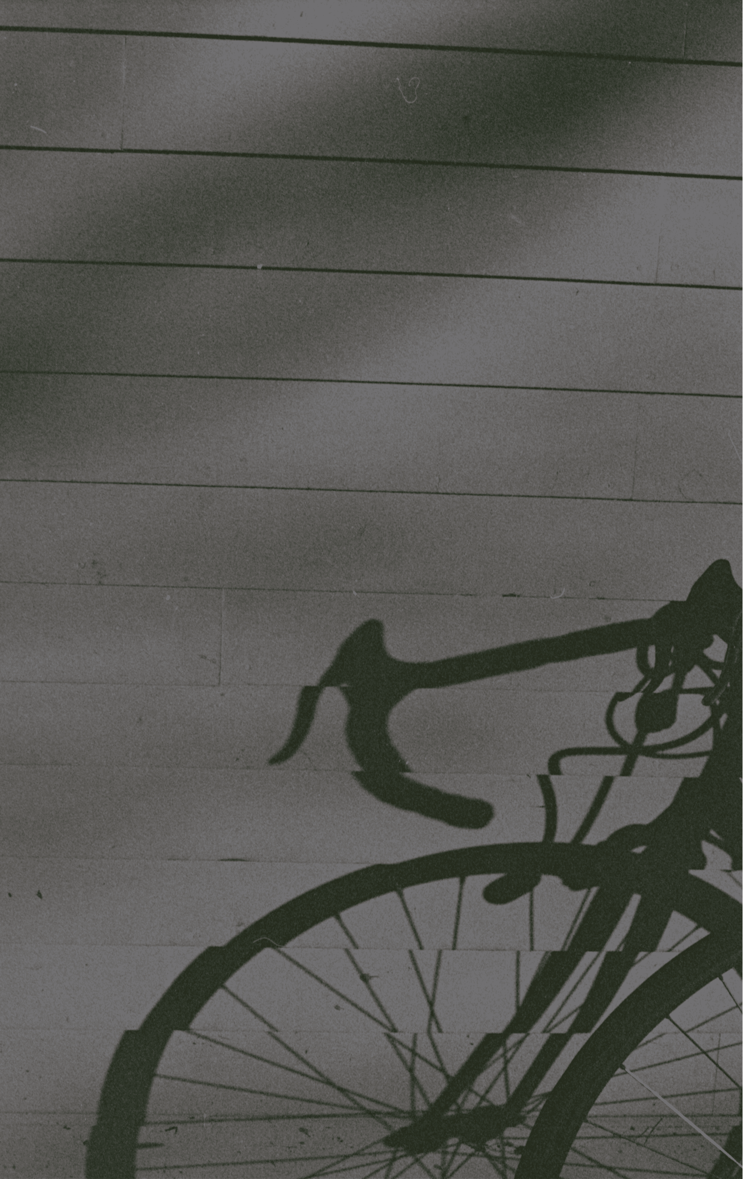 Shadow of a bicycle projected onto a textured wall, featuring minimalist composition and moody, vintage-inspired tones.