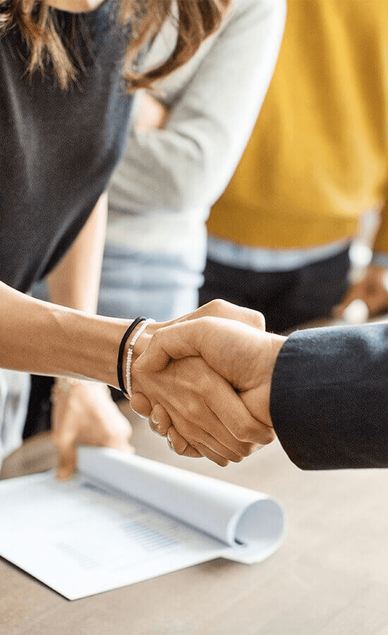 Close-up of a dark green leaf showing its textured surface and central vein against a muted background.