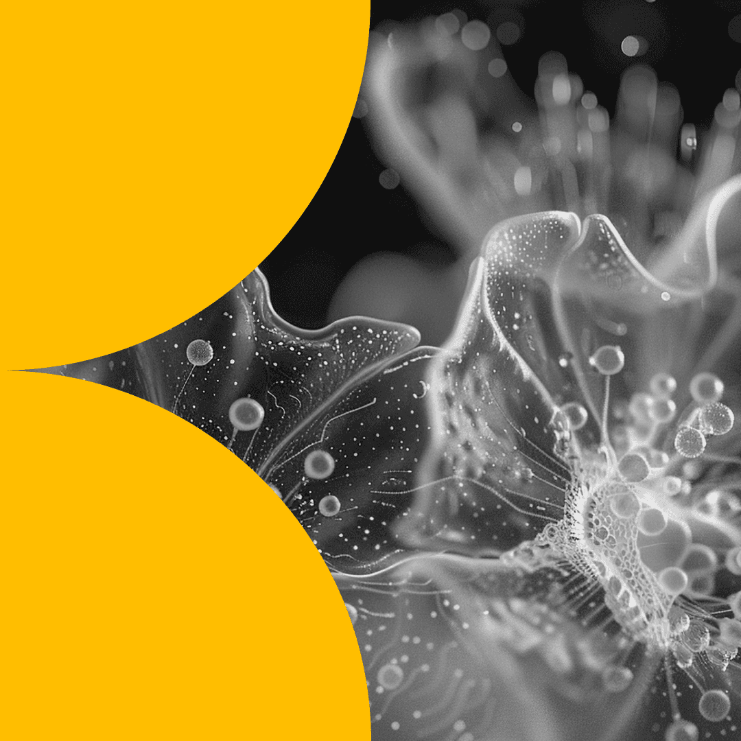 Justin Handler and Christine Sheller