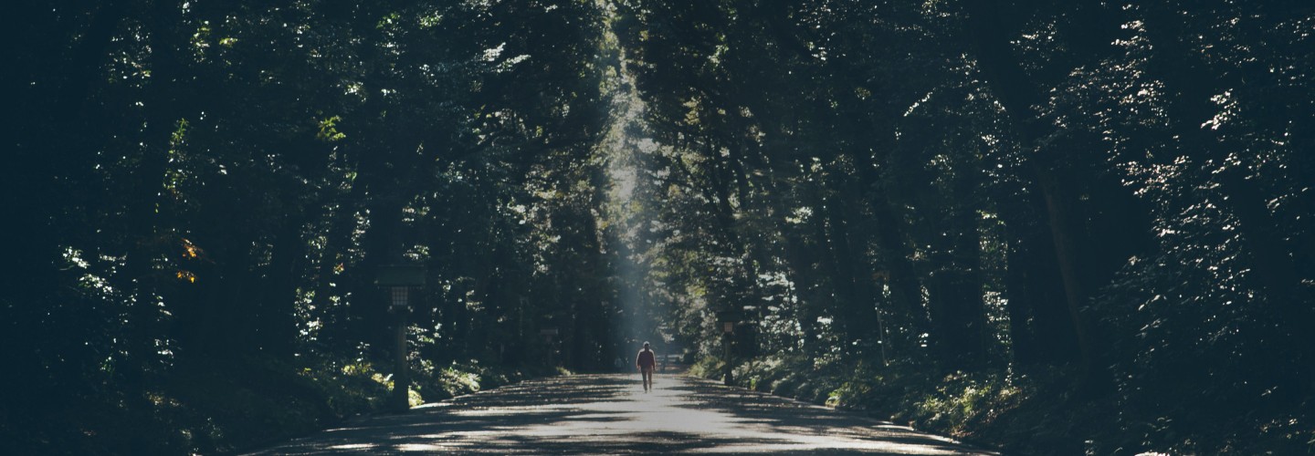 walk way surrounded by trees on the way to meiji jingu - photo from unsplash.com