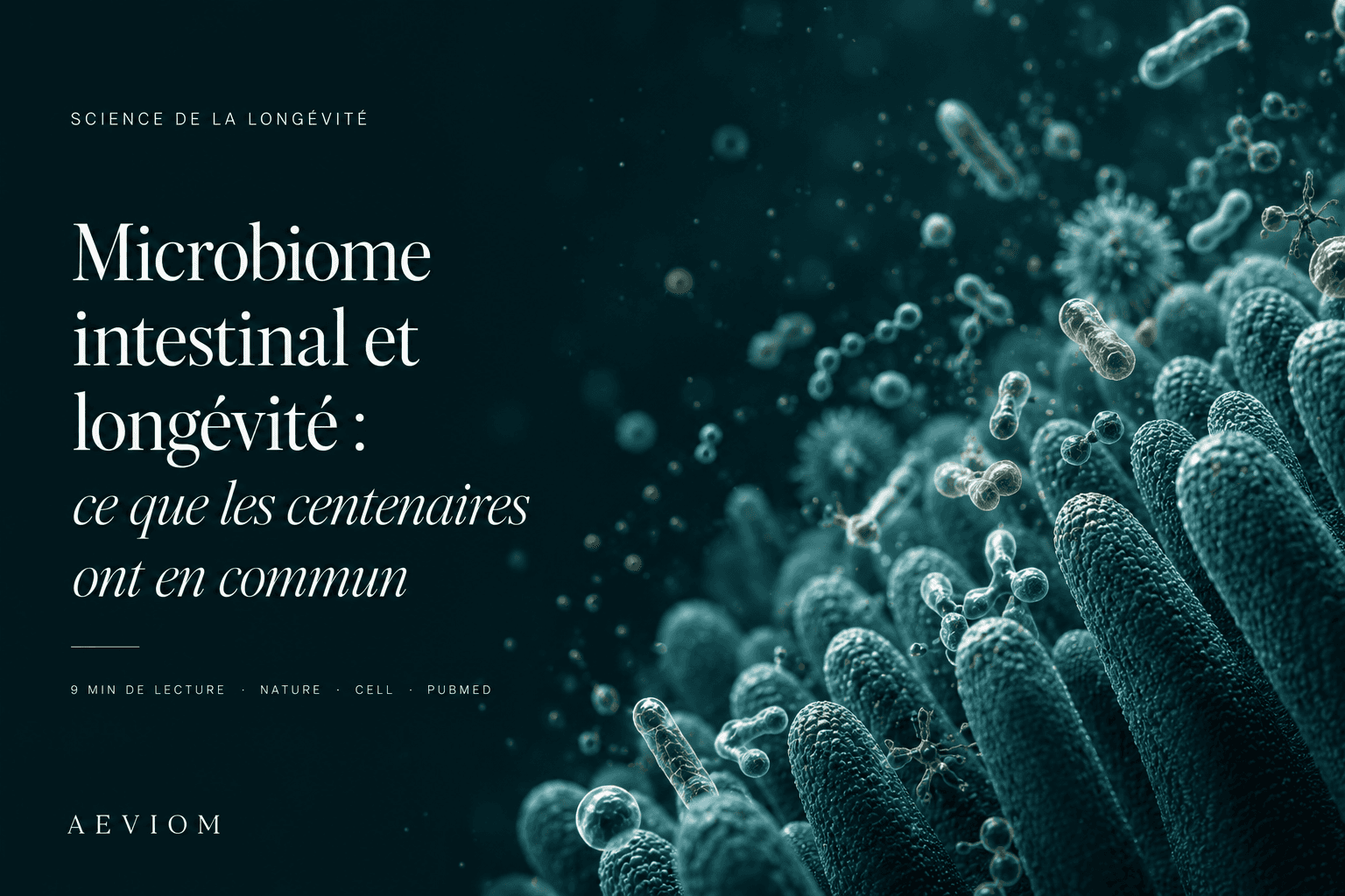 Au cœur de votre intestin vit un écosystème capable d’influencer l’immunité, l’inflammation et peut-être votre vitesse de vieillissement. Ce que les microbiomes des centenaires révèlent sur la longévité humaine.
