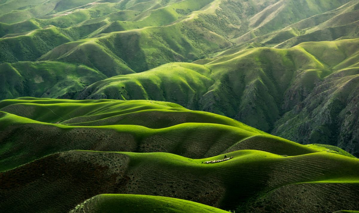 Verdant rolling hills with dramatic sunlight and shadows. A tiny shepherd and flock of sheep rest on a grassy ridge.