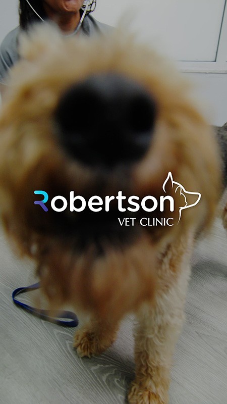 Film crew setup on scene.