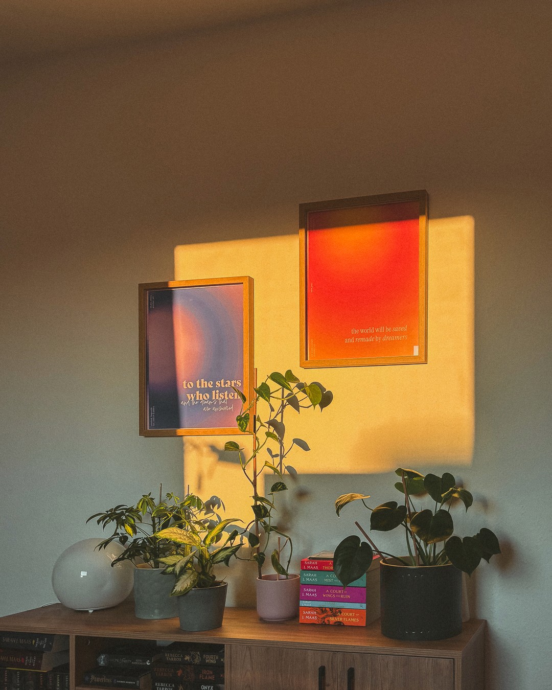Film photography of wall with two posters and a bookshelf in front with plants. Sun aesthetically shines onto wall.