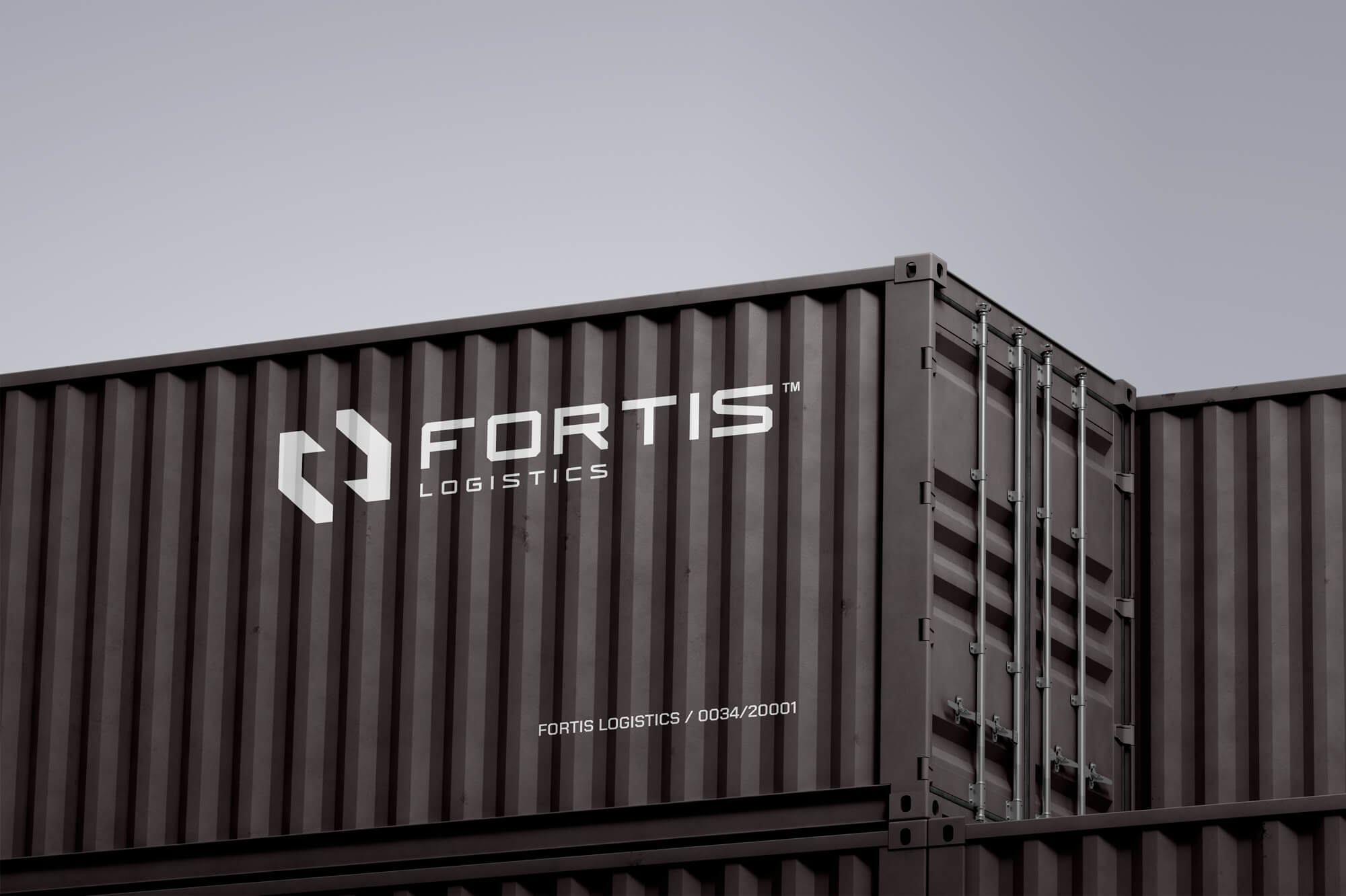 Close-up of a dark shipping container marked with the white Fortis Logistics company logo
