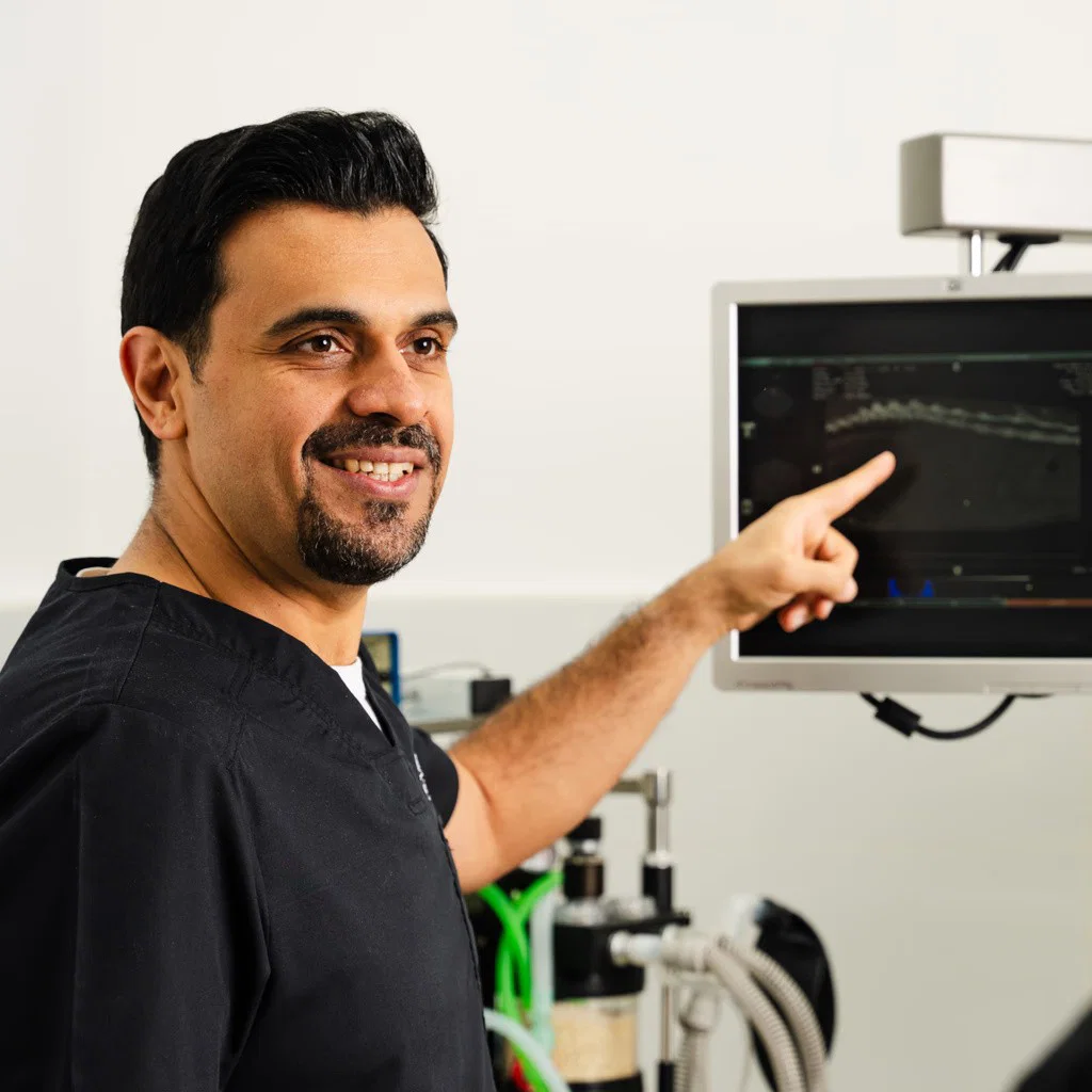 At Noble Veterinary Clinics, Dr. Soheyl Simaei reviews a medical scan on a monitor and discusses the findings with a pet owner.