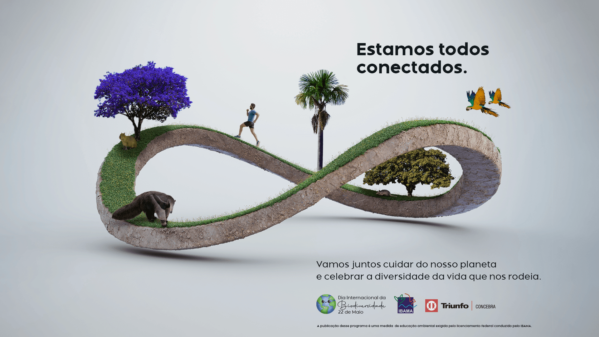 Triunfo Concebra artwork