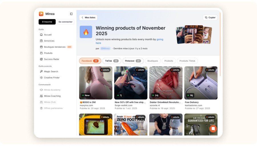 Screenshot of Minea’s “Browse Products”