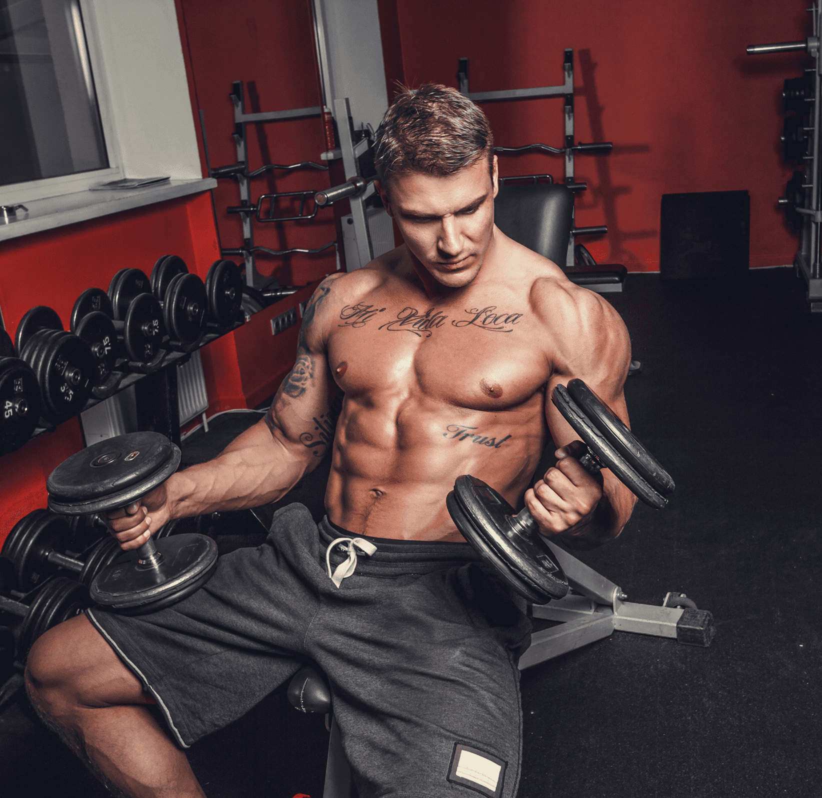 Muscular man doing seated dumbbell curls in a gym.