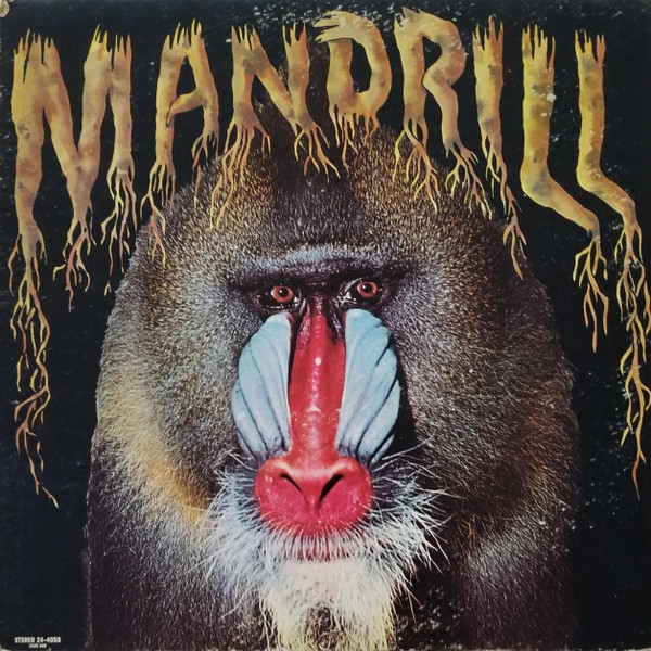 image of mandrill